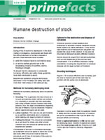 Humane destruction of stock