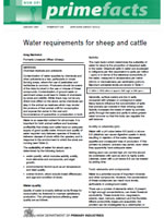 Water Requirements for Sheep and Cattle