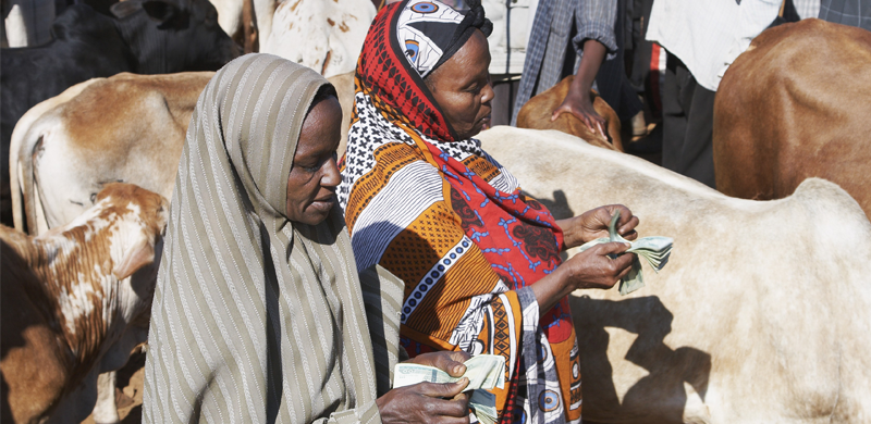 Relief LEGS 3 Commercial destocking Ethiopia Kelley Lynch