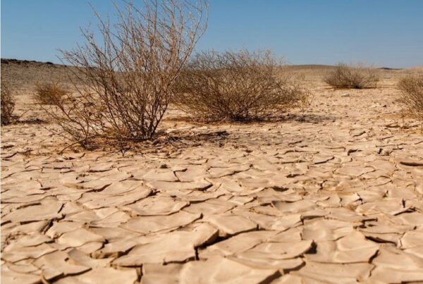 image of ground during drought