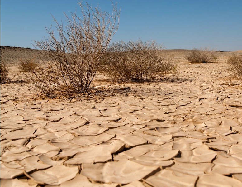 image of ground during drought
